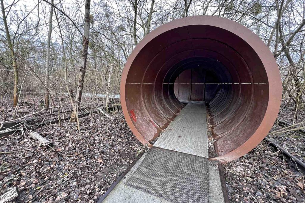 Berlin Natur Park Südgelände Tunnelweg