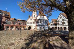 Erbach Altes Rathaus